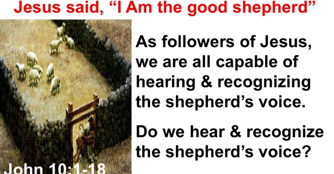 Do we hear & recognize the Shepherd's voice?