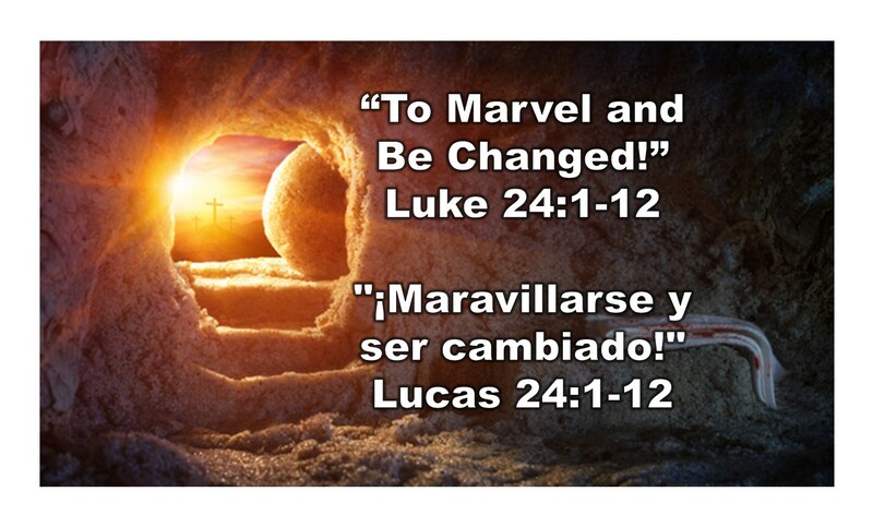 “To Marvel and Be Changed!” 