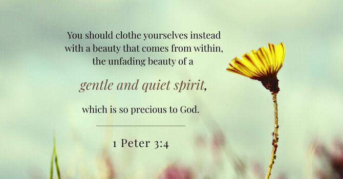 The Differences Between Men and Women!