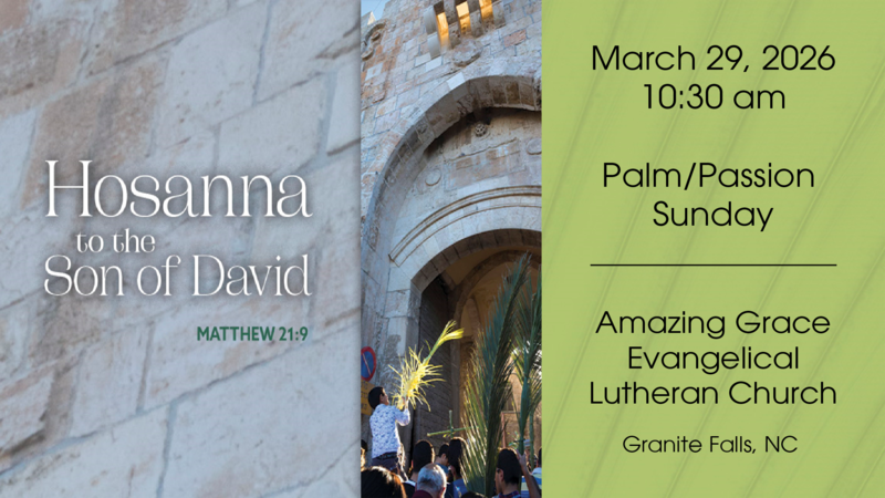 Palm Sunday/Passion Sunday