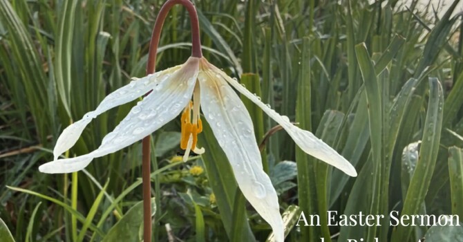 From Bishop Anna: Christ is Risen! Christ is Risen, Indeed!