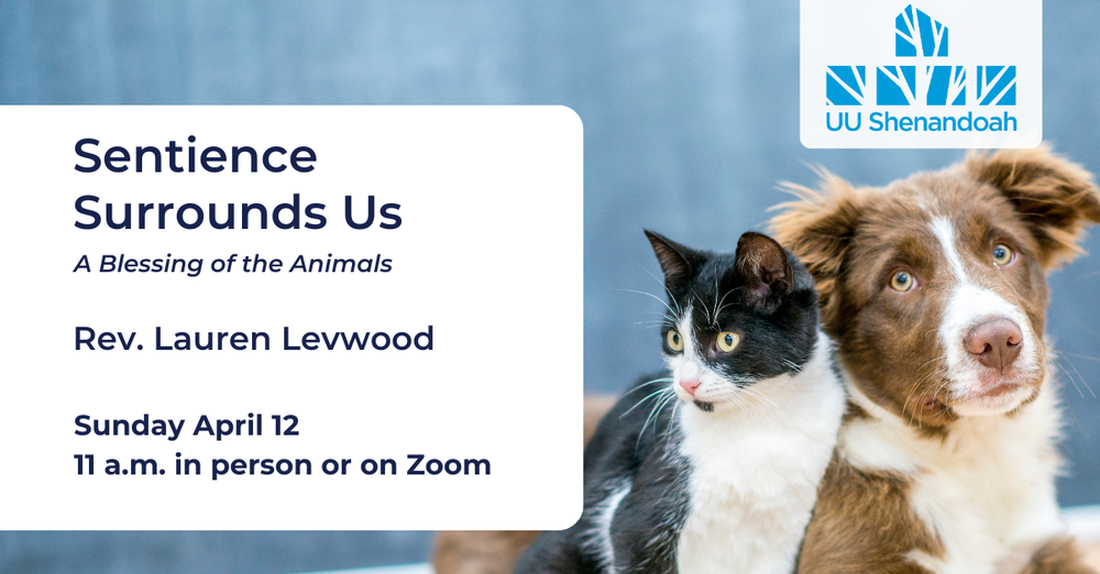 Sentience Surrounds Us: A Blessing of the Animals