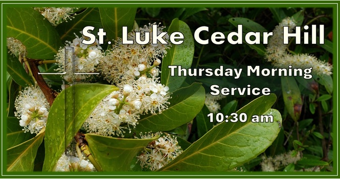 Mid-Week Morning Prayer Service