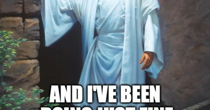 The Wesley Wire image