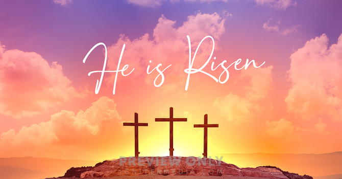 Shall A Man Live Again? Job 14:1-15