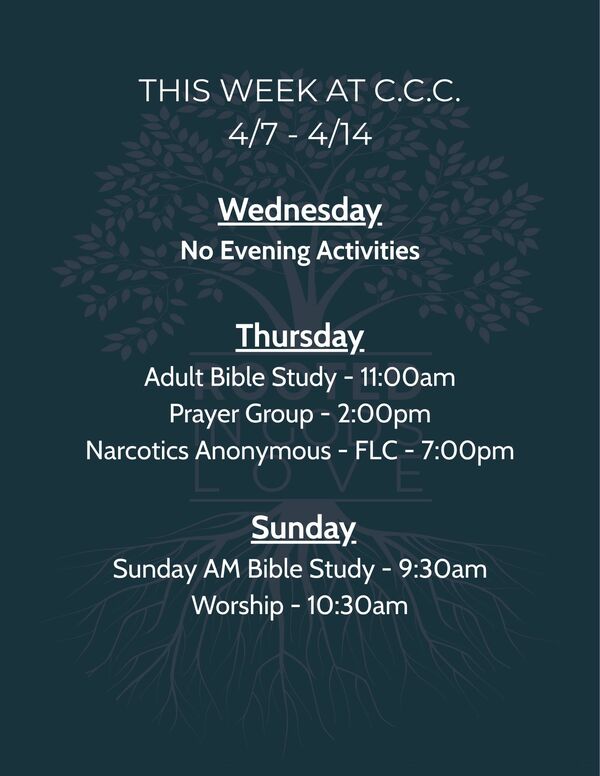 Weekly Schedule