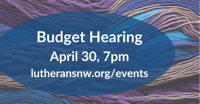 Online Budget Hearing