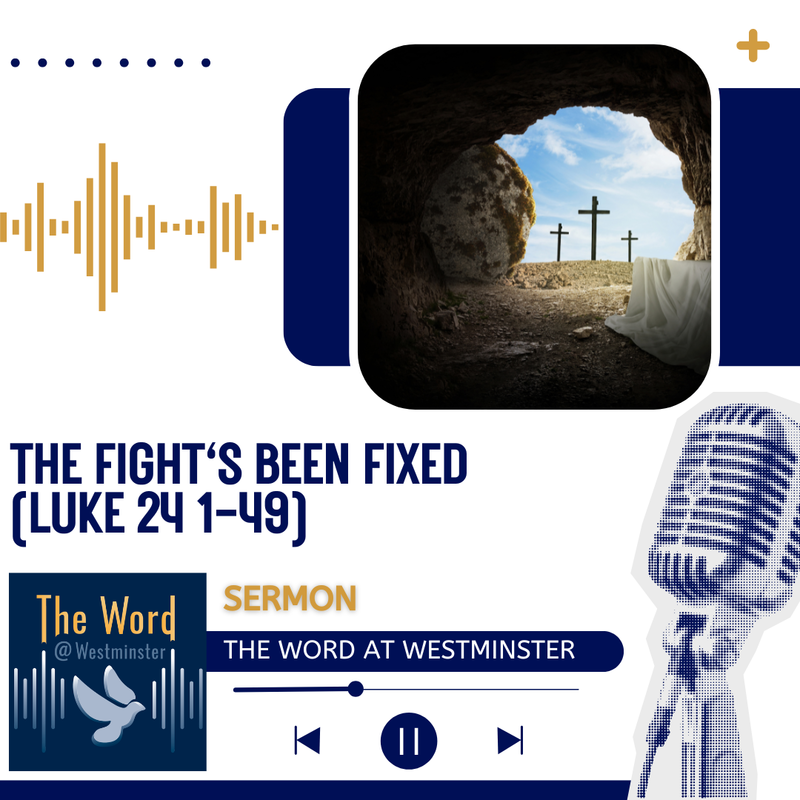 The Fight's Been Fixed.