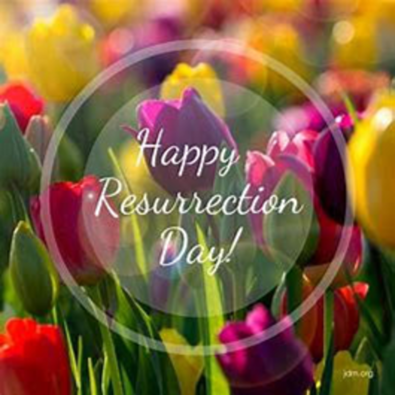 The Savior and Healer has Come!