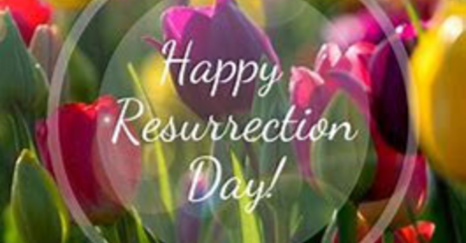 The Savior and Healer has Come!