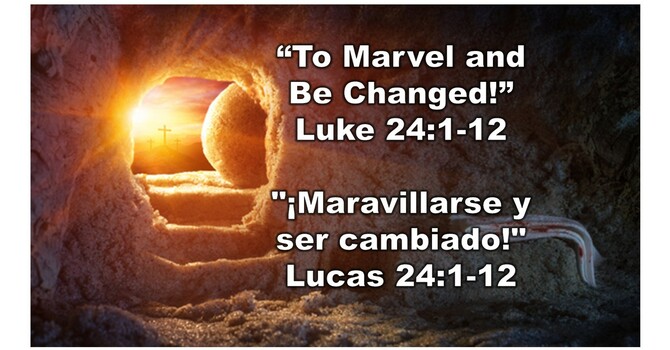 “To Marvel and Be Changed!” 