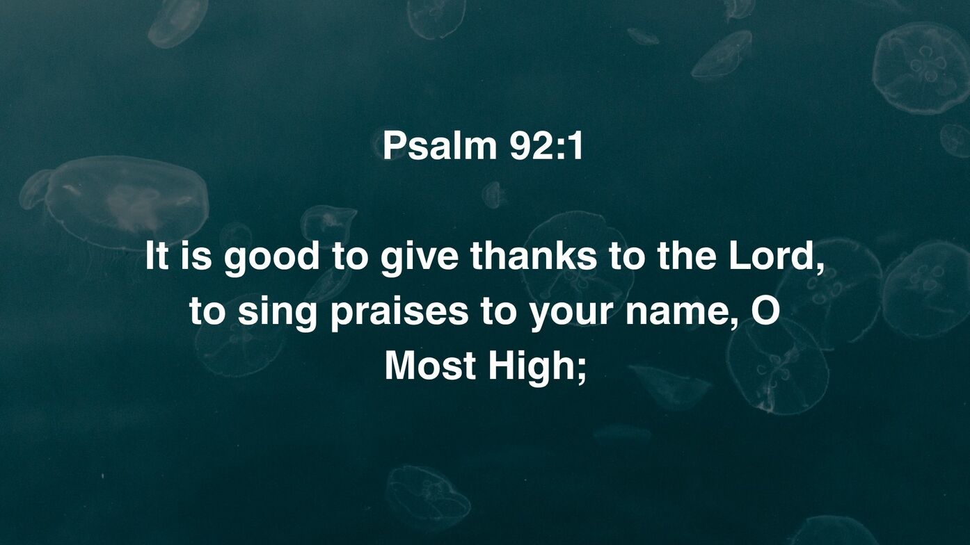 Slideshow image