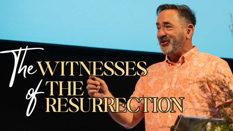 What Have You Witnessed?