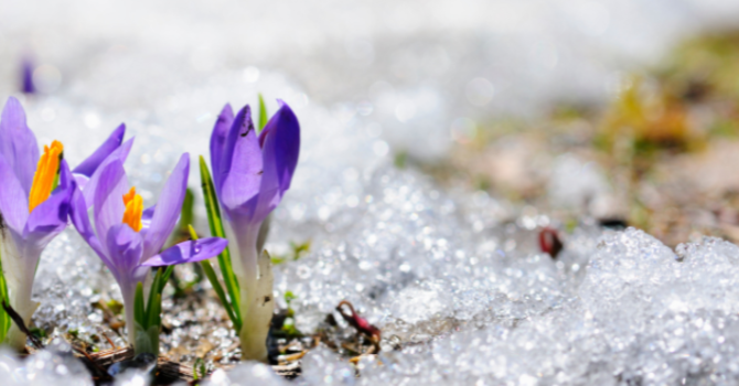 Paying Attention: Easter Happens Every Day image