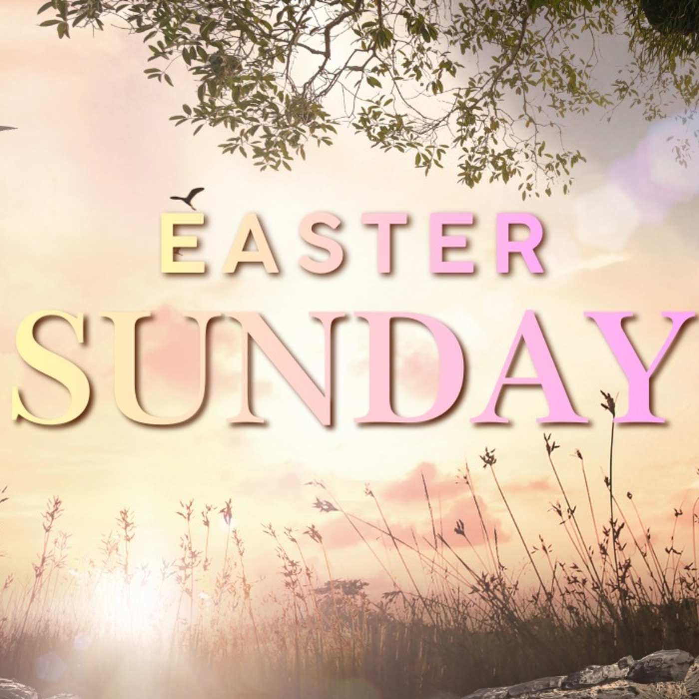 Easter Sunday episode artwork