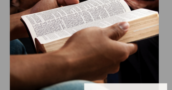 Men's Bible Study