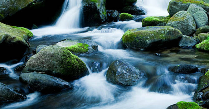 April 7, 2026 Devotion image