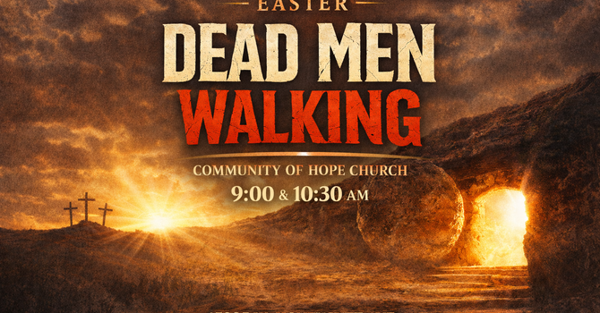 Come and See - The Book of John