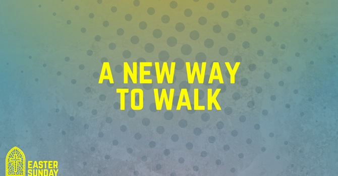 A New Way To Walk