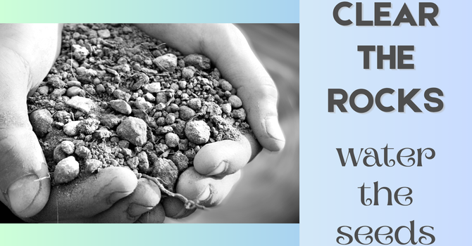 Weekly Newsletter image