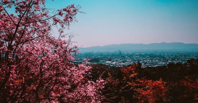 April 8, 2026 Devotion image