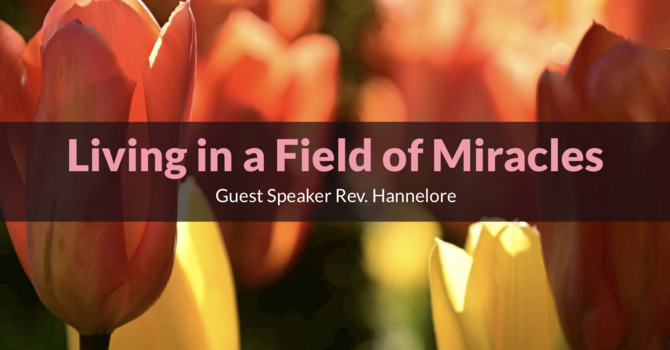 Living in a Field of Miracles