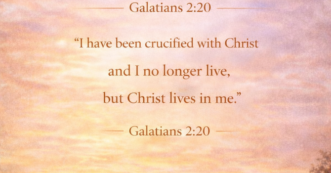 Surrender Creates Space for Transformation image