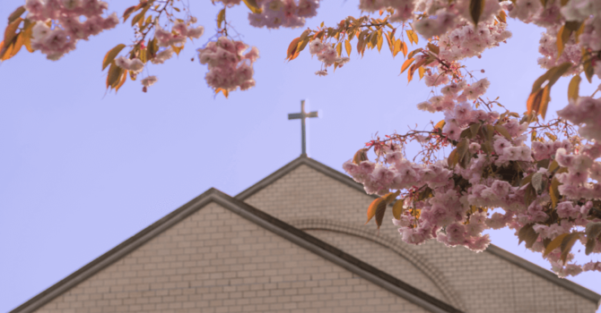 6-Minute Study - #456