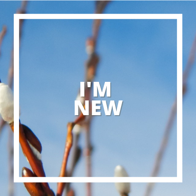 I'M NEW HERE