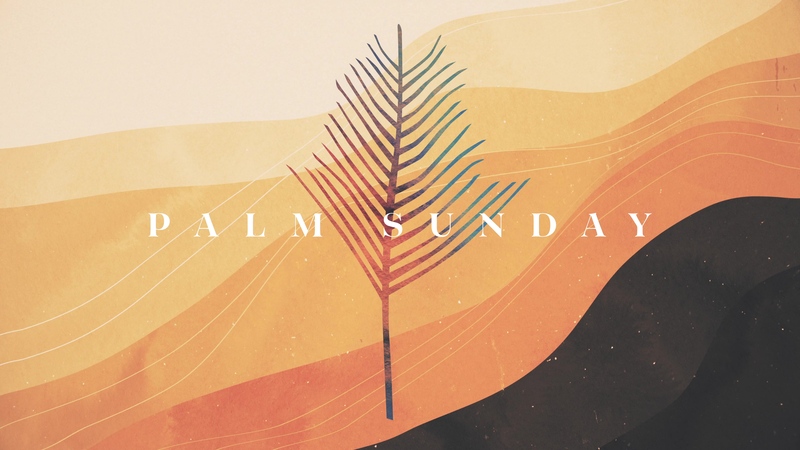 The Peace of Palm Sunday