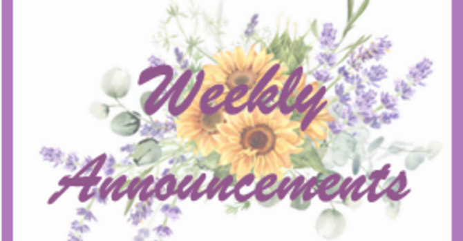 Weekly Announcements