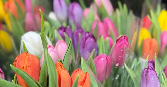 Second Sunday of Easter