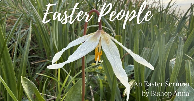 Easter Sermon by Bishop Anna image