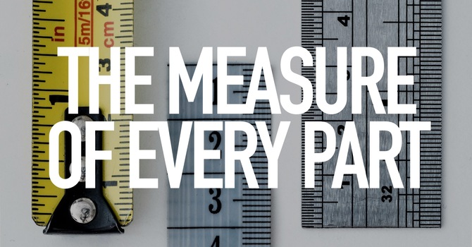 The Measure Of Every Part