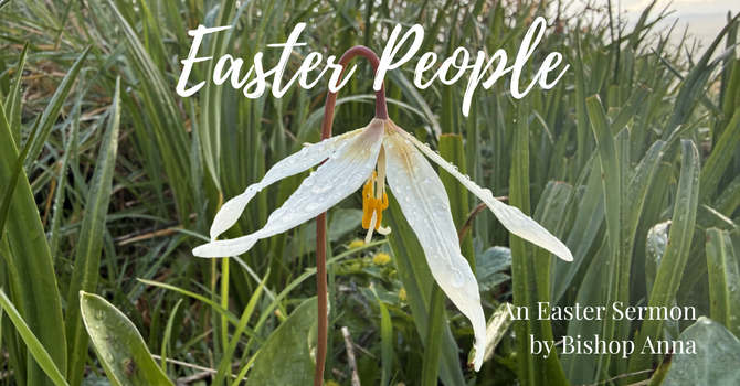Easter Sunday Sermon from Bishop Anna