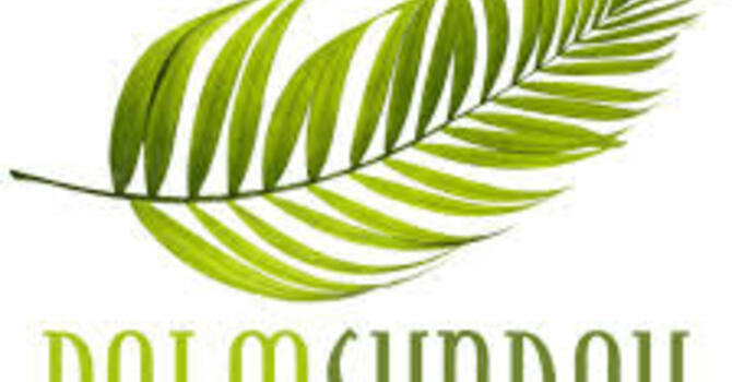 Palm Sunday 