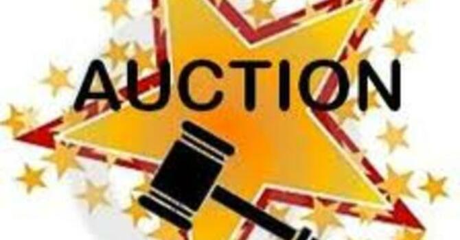 Youth Auction