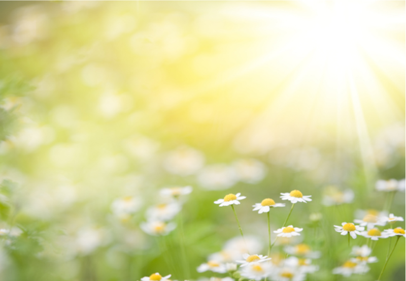 Second Sunday of Easter