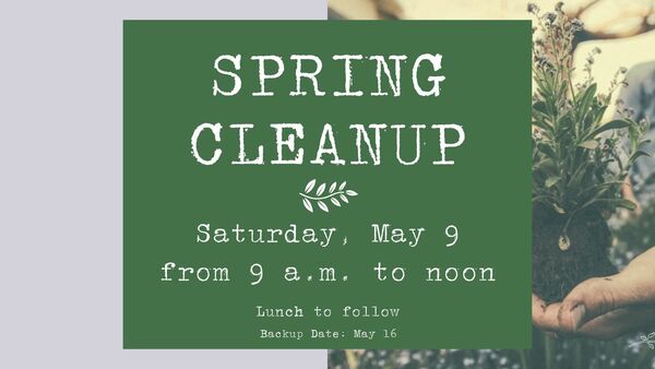 Spring Clean Up