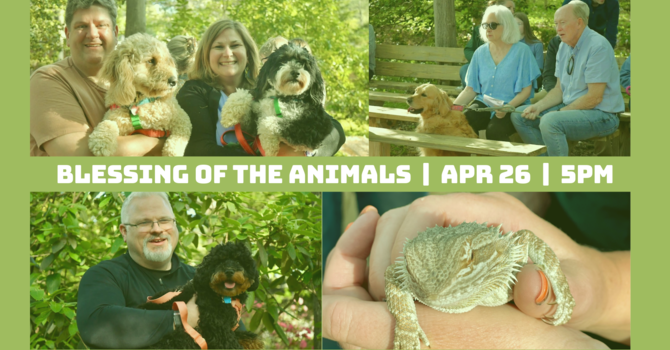 Blessing of the Animals