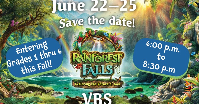 Rainforest Falls VBS