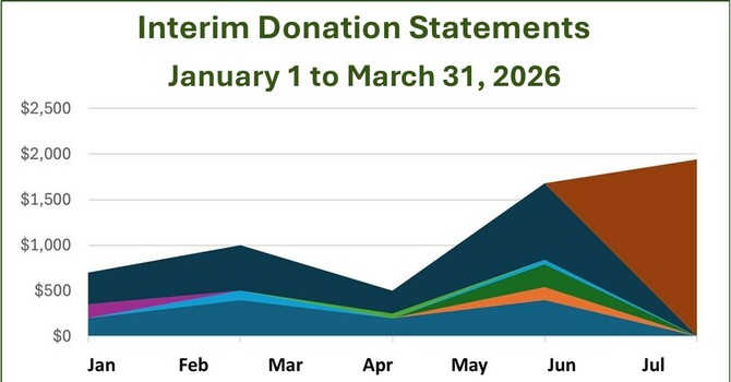 Interim Donation Statements image