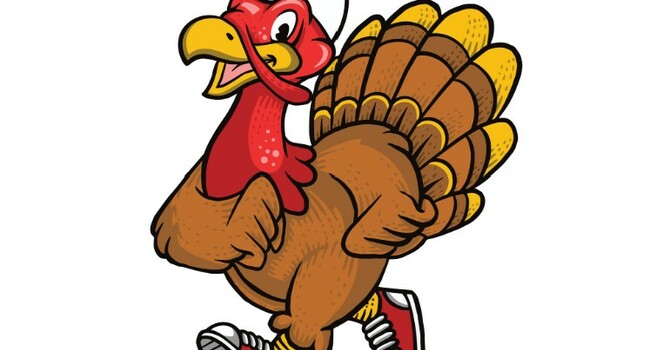 Turkey Chase