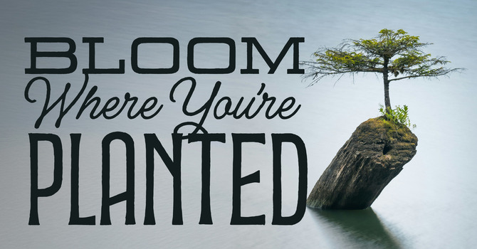 Spring Ladies' Brunch