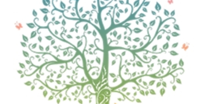 Adult Bible Studies – Sundays at 10:05am