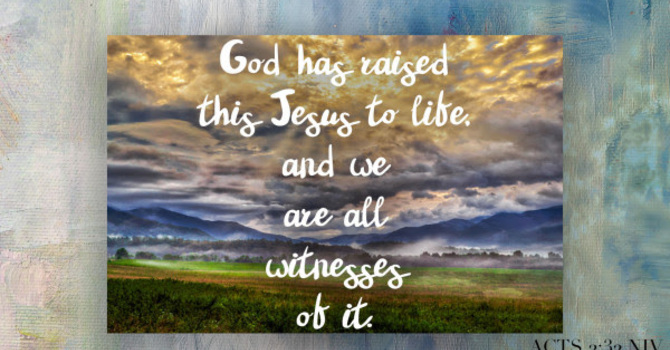 Joey's Tuesday Devotional image