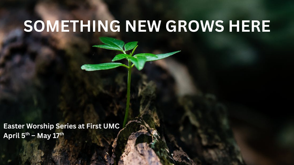 Something New Grows Here