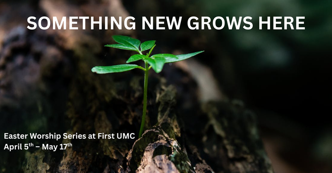 New Life Breaks Through