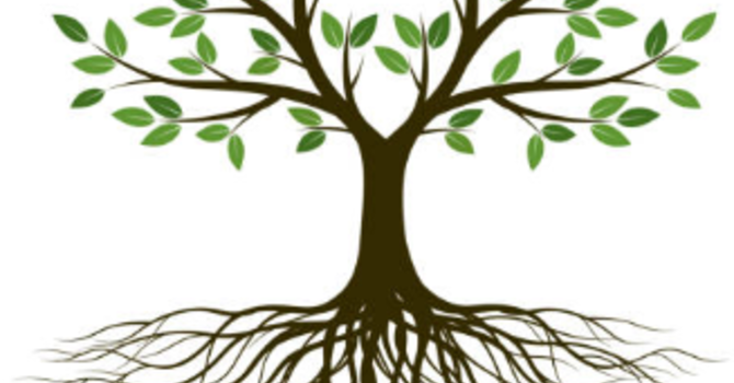 We are One Body - part 2 