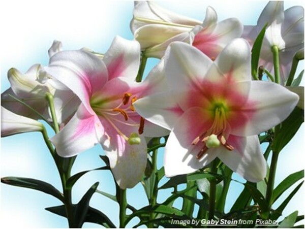 Easter Memorial Flowers